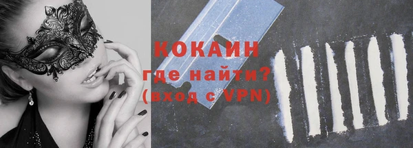 индика Армянск