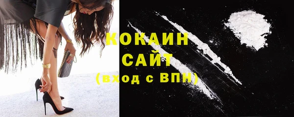 ешки Аркадак