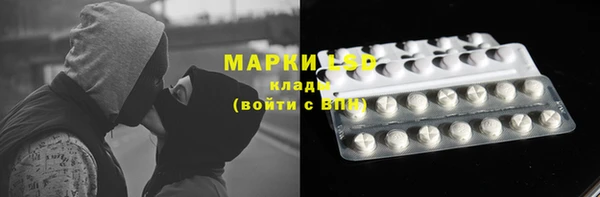 индика Армянск