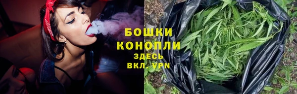 ешки Аркадак
